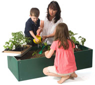 RAISED GARDEN BED 4FT X 2FT X 1FT